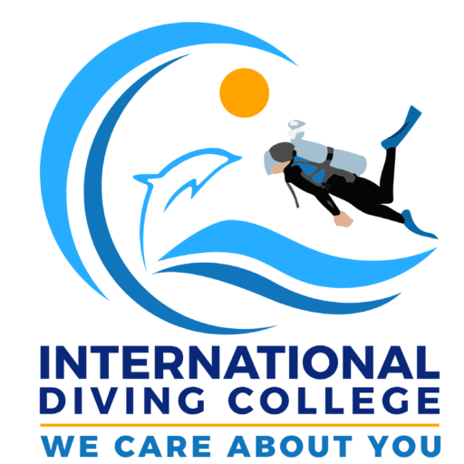 International Diving College Logo